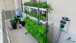 Toraksız Tarım Nedir Sebze.net 2.webp