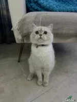 WhatsApp Image 2026-03-19 at 01.53.33.webp