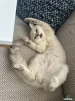 WhatsApp Image 2026-03-19 at 01.53.34 (3).webp