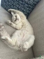 WhatsApp Image 2026-03-19 at 01.53.34 (2).webp